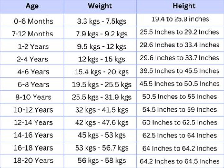 
BE’O Height, Weight, Net Worth, Age, Birthday, Wikipedia, Who, Instagram, Biography 