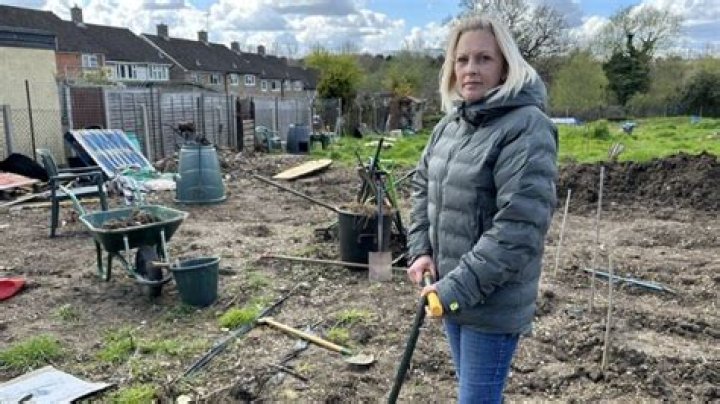 
Carly Burd GoFundMe raises more than £134,000 after vandals destroy charity food garden 