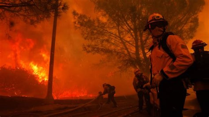 
Chilean Forest Fires Have Claimed at Least 23 Lives So Far! 