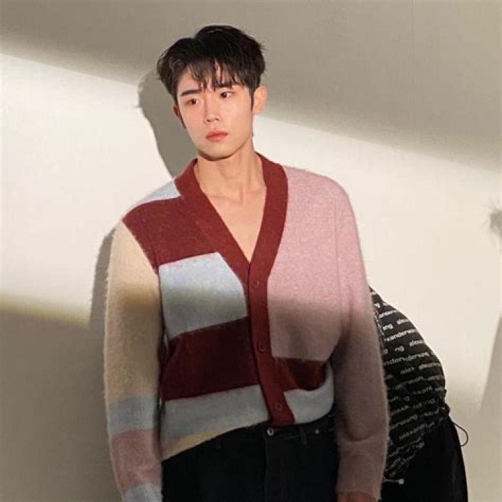 Choi Si-Hun Height, Weight, Net Worth, Age, Birthday, Wikipedia, Who, Nationality, Biography
