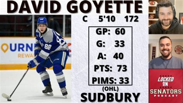 
David Goyette Height, Weight, Net Worth, Age, Birthday, Wikipedia, Who, Nationality, Biography 