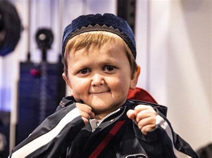 Hasbulla Magomedov Height, Weight, Net Worth, Age, Birthday, Wikipedia, Who, Nationality, Biography