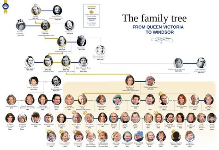 
Is Mark Brzezinski Related To Mika? Brother-Sister Age Gap And Family Tree 