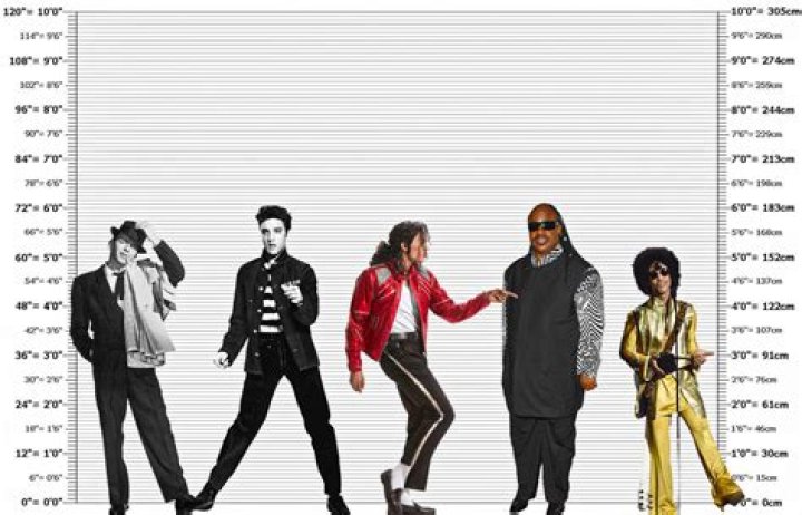 Michael Jackson Height, Weight, Net Worth, Age, Birthday, Wikipedia, Who, Nationality, Biography