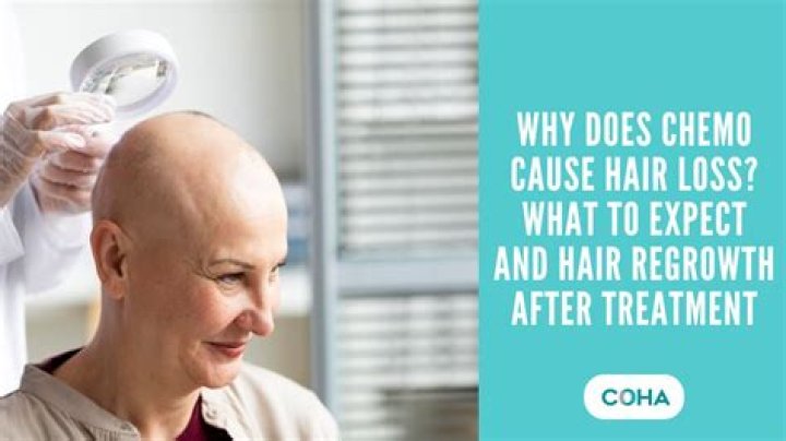 Mike Lee Cancer And Hair Loss Update: Illness And Health 2023