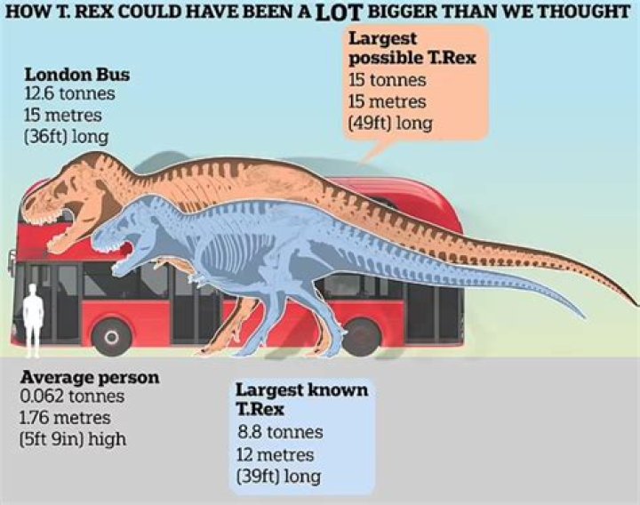 Peter Rex Height, Weight, Net Worth, Age, Birthday, Wikipedia, Who, Nationality, Biography