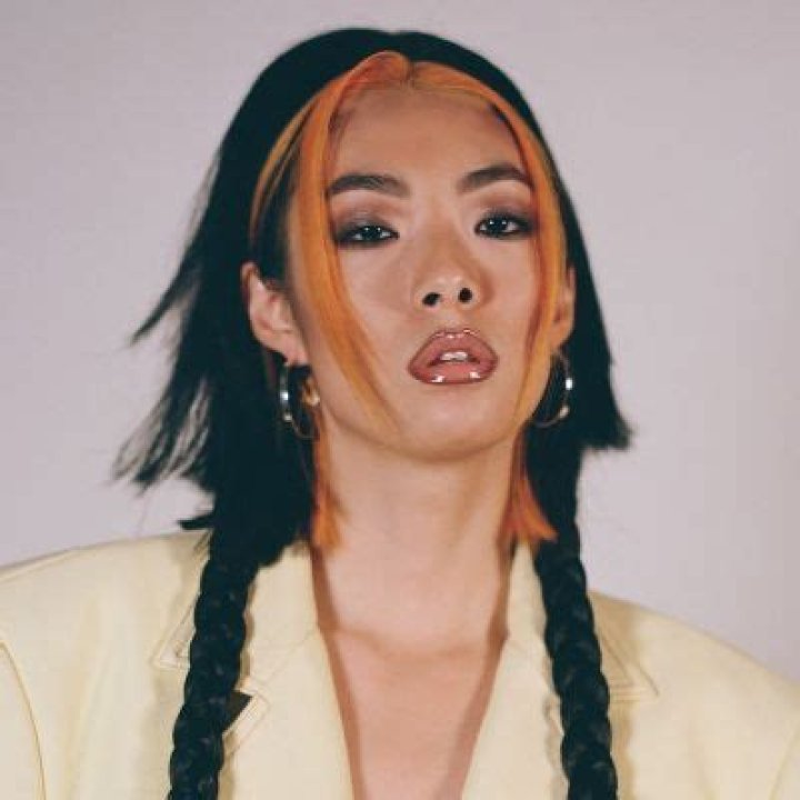 Rina Sawayama Family: Who Is Her Mother, Noriko Sawayama | Parents And Net Worth