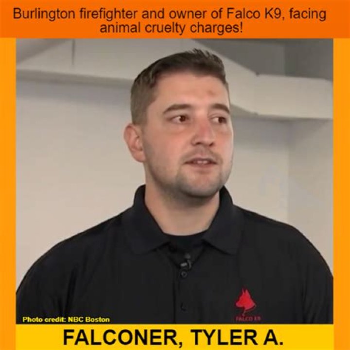 What did Tyler Falconer do? Burlington firefighter animal cruelty charges explored