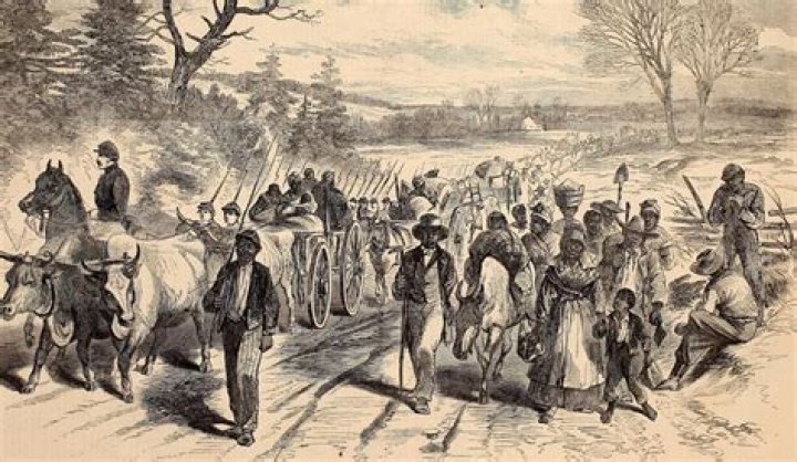 
What was Richard Freed Cause of Death? 