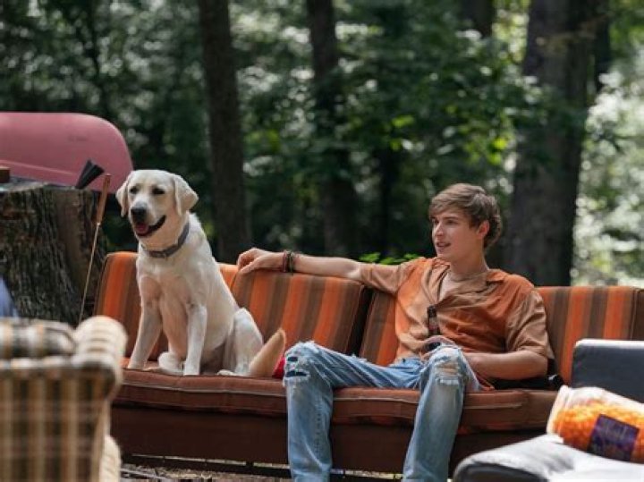 
Where was Netflix’s Dog Gone shot? Filming locations explored 