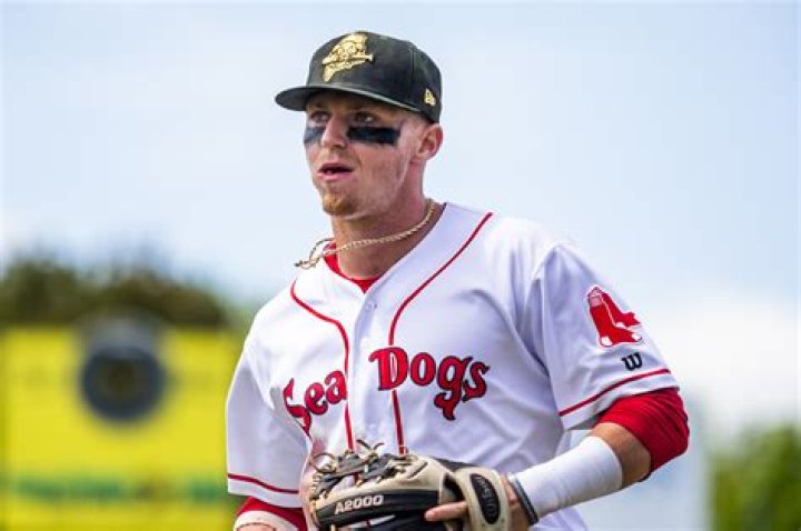 
Who Is Brett Netzer Infamous For His Viral Racist Tweet? Red Sox Baseball Player Fired For His Controversy 