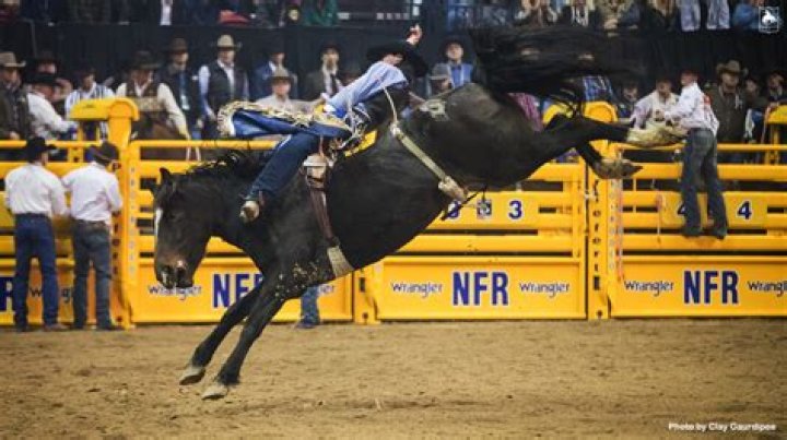 Who was Trenten Montero? Winnemucca cowboy dies of injuries at Owyhee County Rodeo
