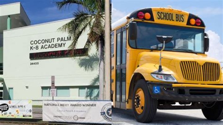 
“Wtf happened to society?”: Video of nine-year-old Florida girl being beaten on Coconut Palm school bus sparks outrage 